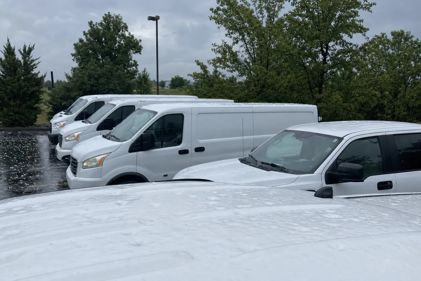 A row of white work vans and a pickup in a business parking lot after a hailstorm, hail dents across the roof in front